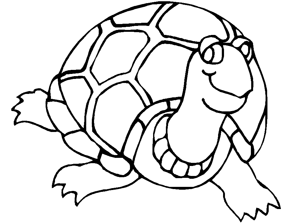 Sea Turtle coloring #17, Download drawings