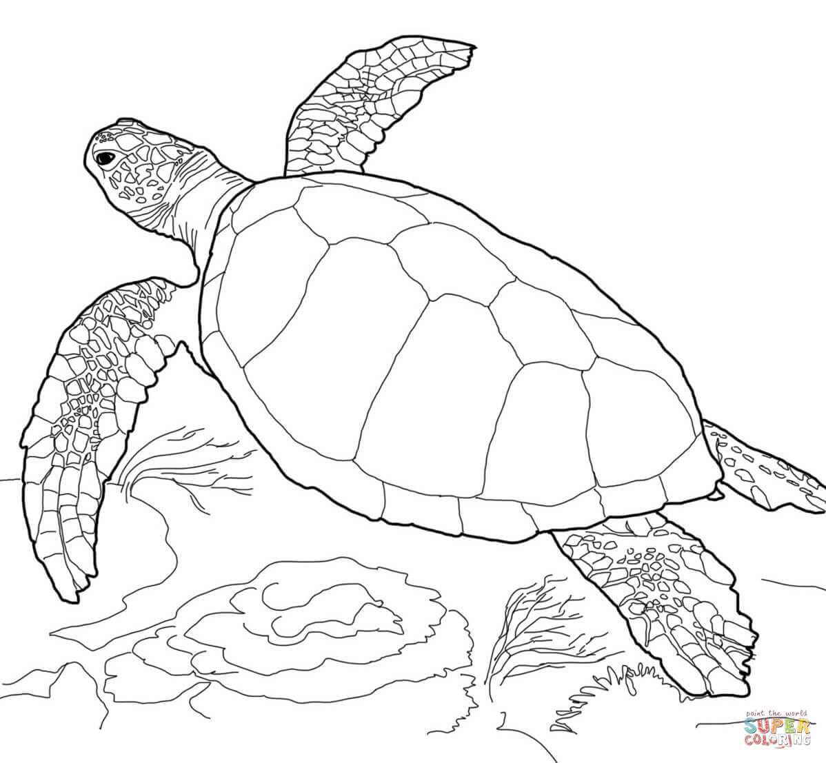 Sea Turtle coloring #10, Download drawings