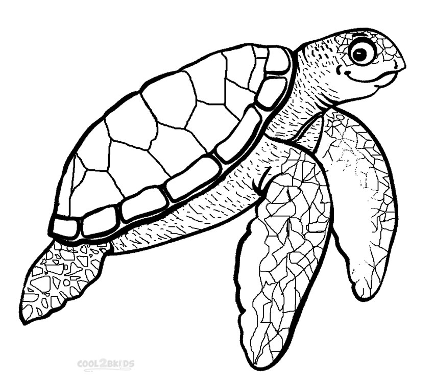 Sea Turtle coloring #4, Download drawings