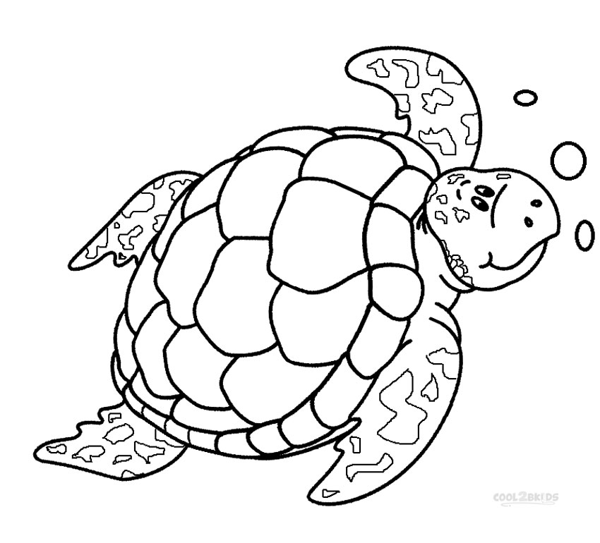 Sea Turtle coloring #11, Download drawings