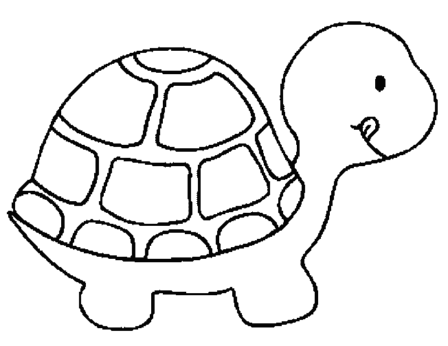 Sea Turtle coloring #12, Download drawings