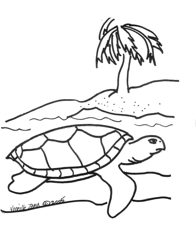 Sea Turtle coloring #9, Download drawings