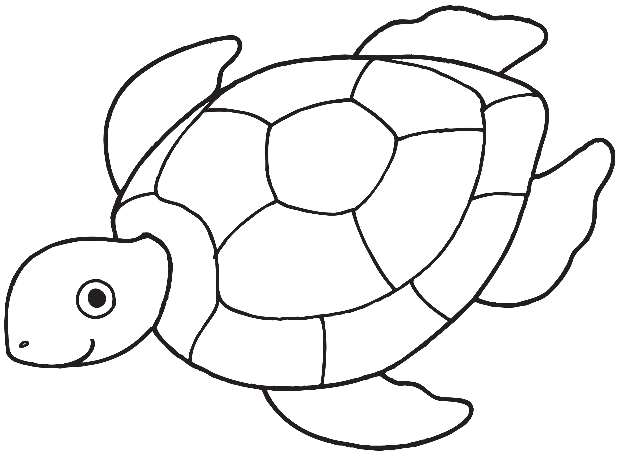 Sea Turtle coloring #3, Download drawings