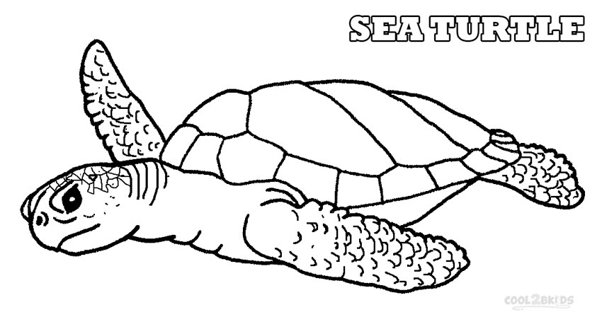 Sea Turtle coloring #20, Download drawings