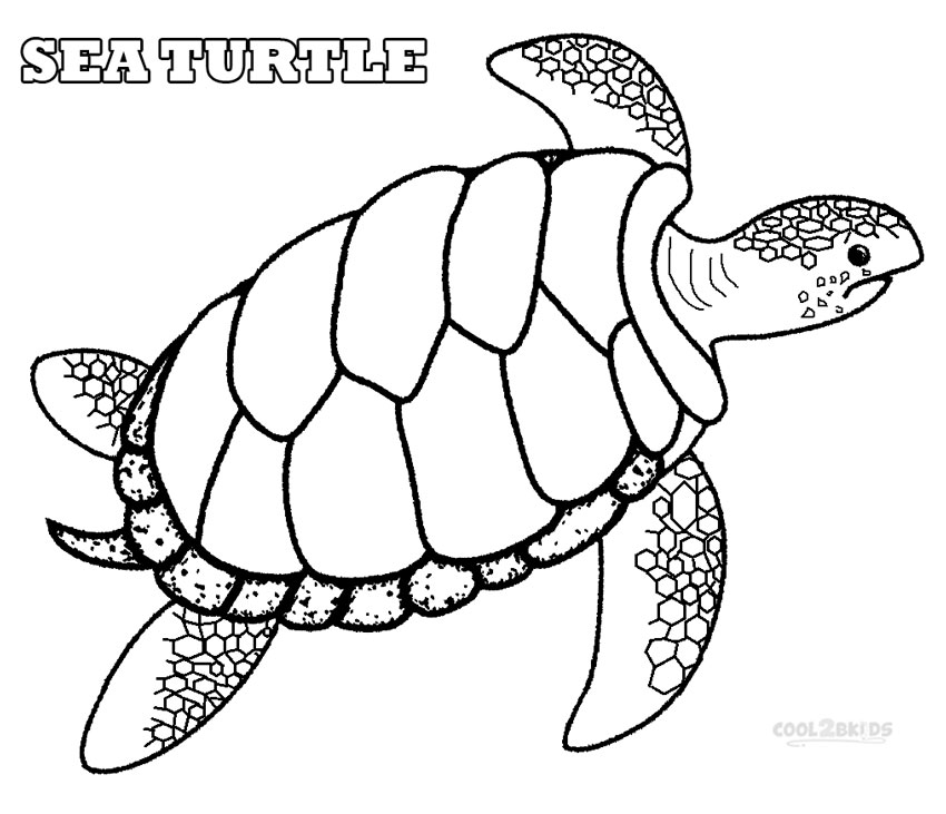 Sea Turtle coloring #18, Download drawings
