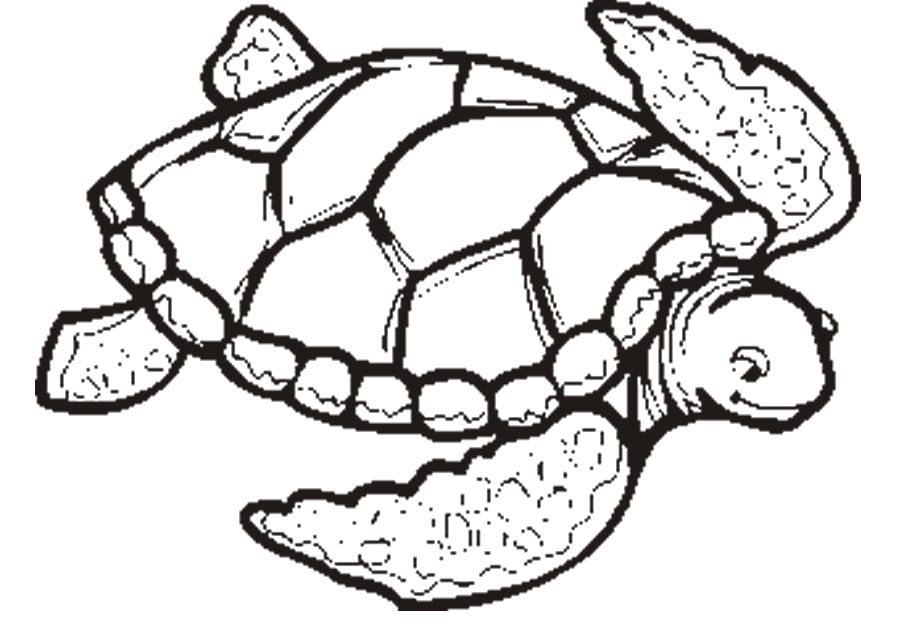 Sea Turtle coloring #13, Download drawings