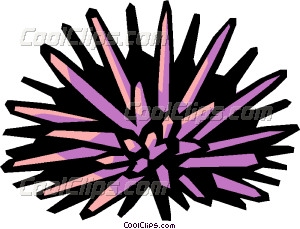 Sea Urchin clipart #12, Download drawings