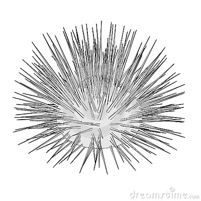Sea Urchin clipart #2, Download drawings