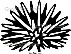 Sea Urchin clipart #7, Download drawings