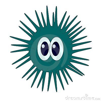 Sea Urchin clipart #8, Download drawings