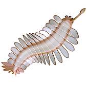 Sea Worm clipart #20, Download drawings