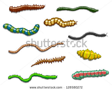 Sea Worm clipart #17, Download drawings