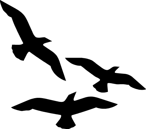 Seagull clipart #9, Download drawings