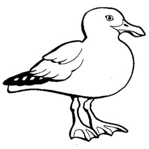 Seagull coloring #16, Download drawings