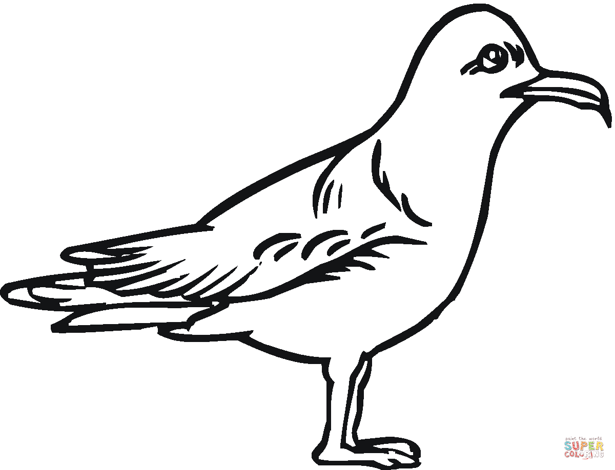 Seagull coloring #14, Download drawings