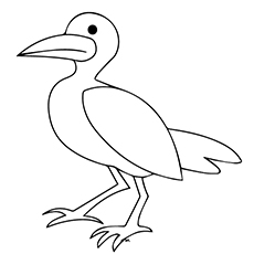 Seagull coloring #19, Download drawings