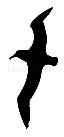 Seagull svg #12, Download drawings