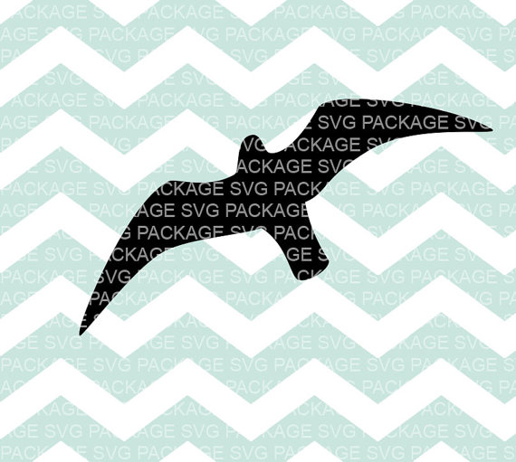 Seagull svg #11, Download drawings