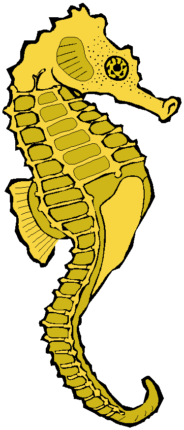 Seahorse clipart #16, Download drawings