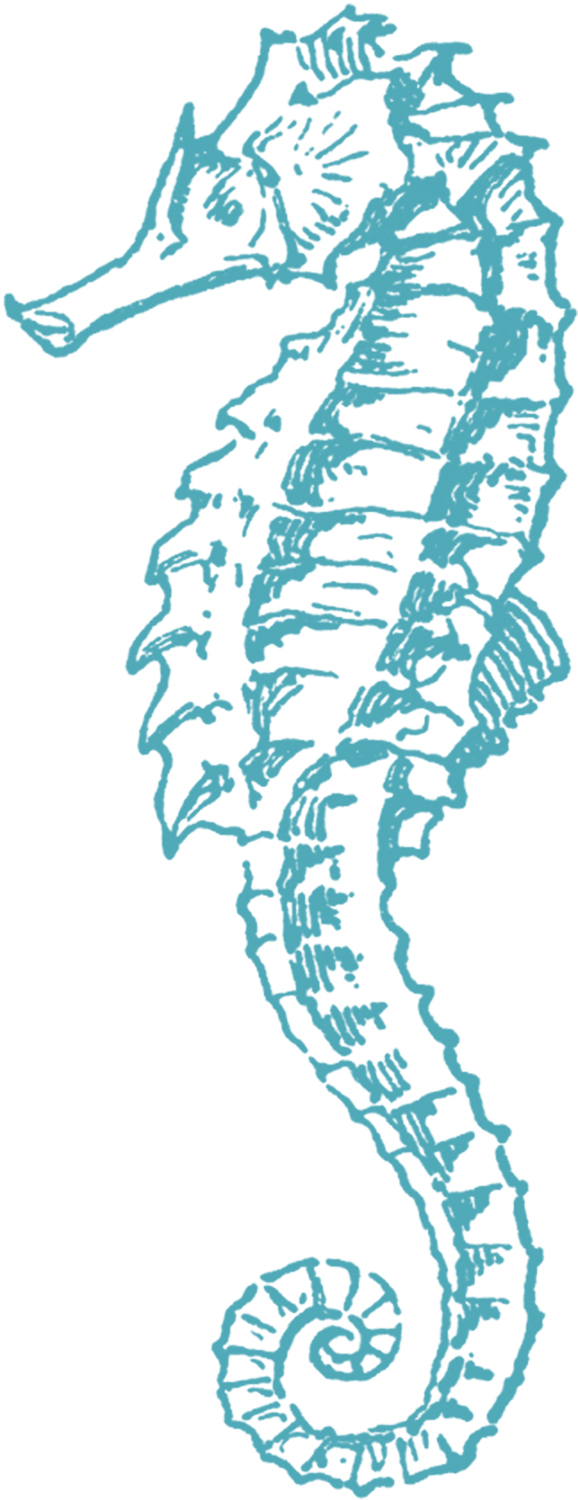Seahorse clipart #9, Download drawings