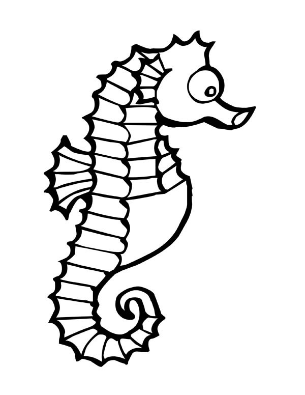 Seahorse coloring #4, Download drawings
