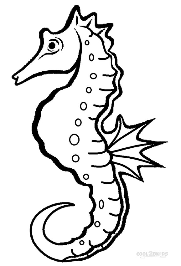 Seahorse coloring #15, Download drawings