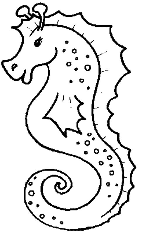 Seahorse coloring #11, Download drawings