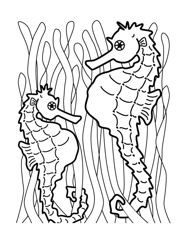 Seahorse coloring #2, Download drawings