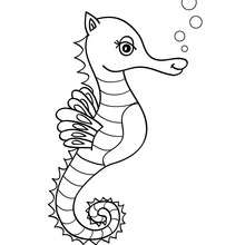 Seahorse coloring #16, Download drawings