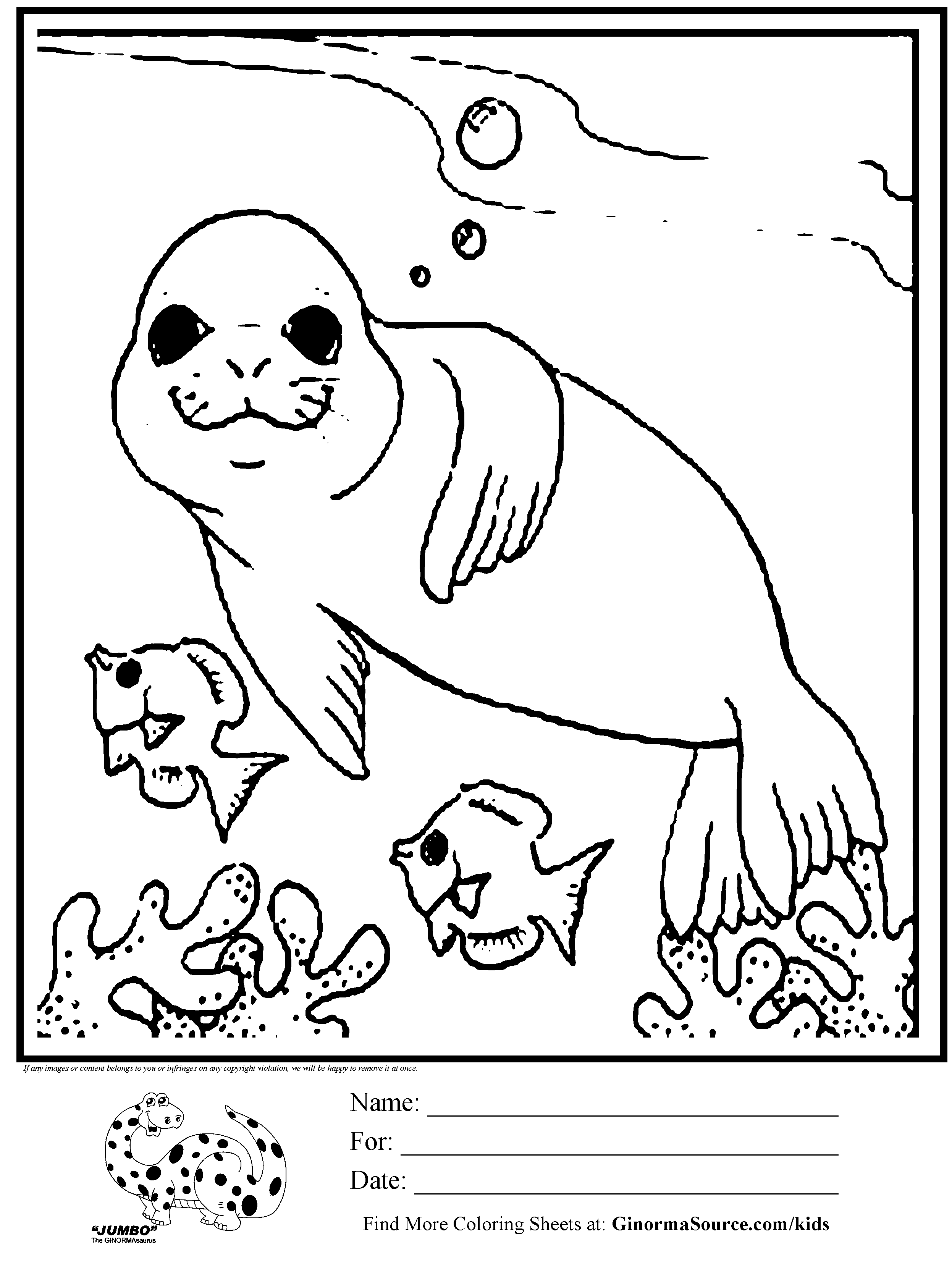 Seal coloring #9, Download drawings