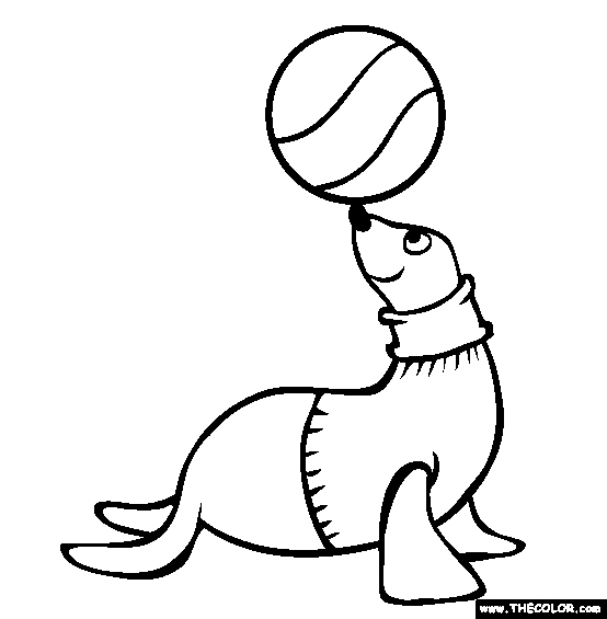 Seal coloring #17, Download drawings