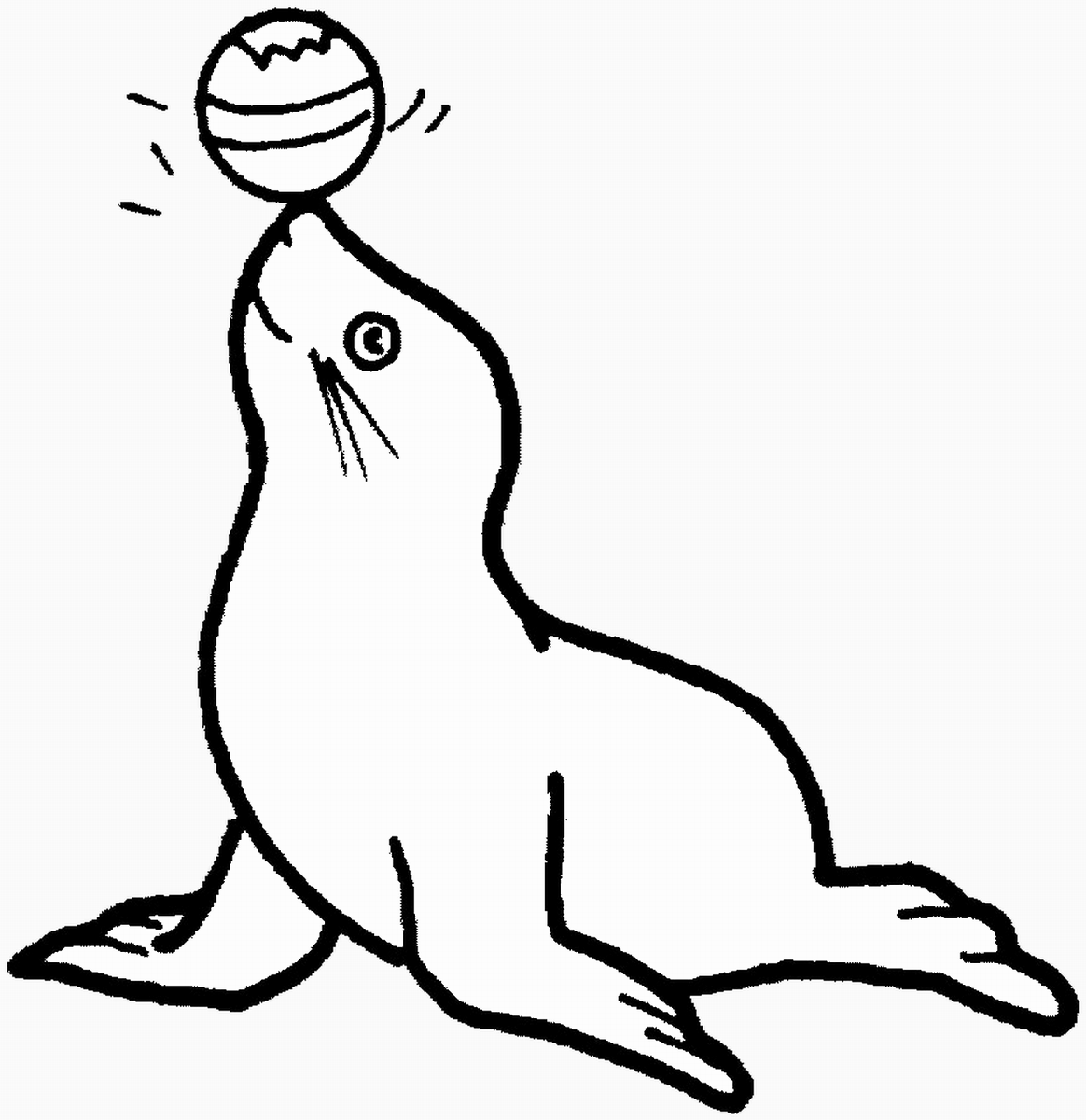 Seal coloring #18, Download drawings