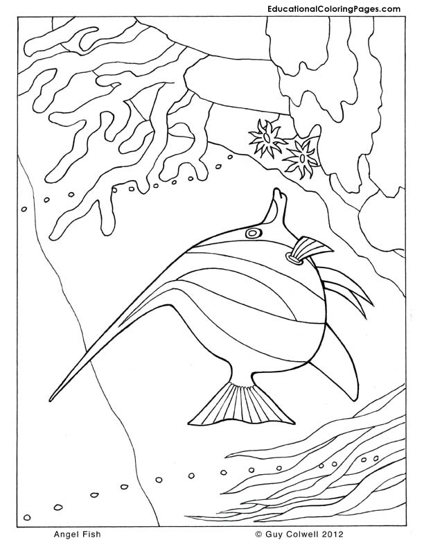Sheshore coloring #8, Download drawings