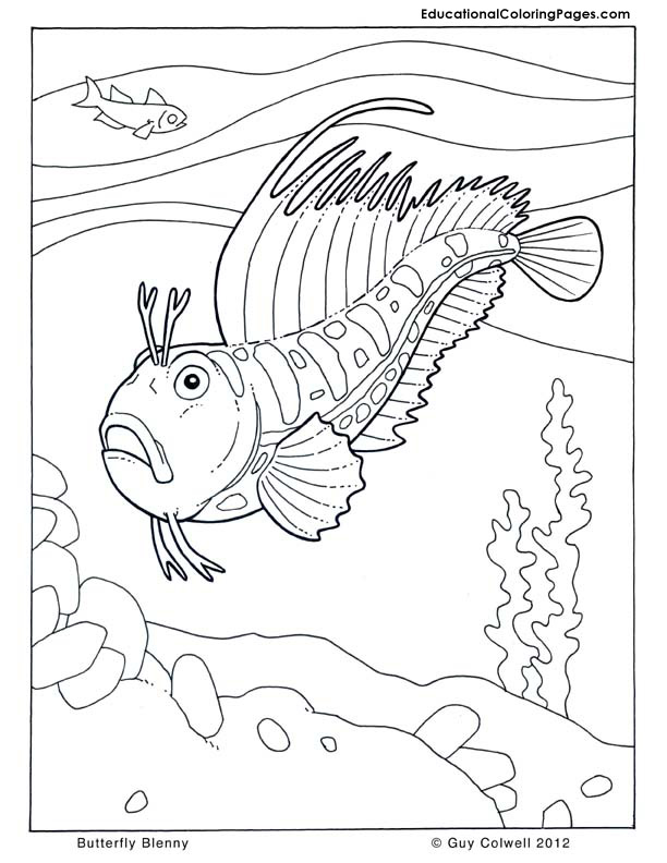 Seashore coloring #12, Download drawings