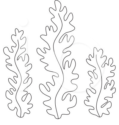 Seaweed coloring #15, Download drawings