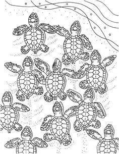 Selu Sea coloring #12, Download drawings