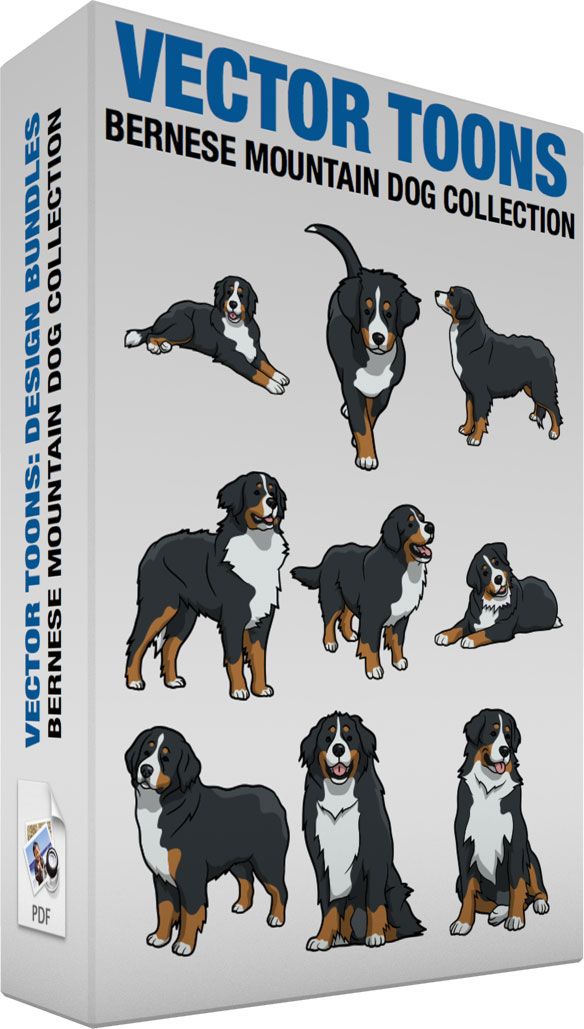 Sennenhund svg #8, Download drawings