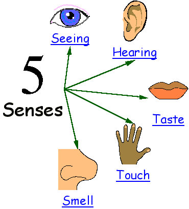 Senses clipart #18, Download drawings