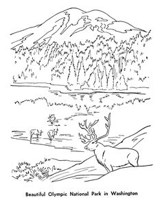 Sequoia National Park coloring #11, Download drawings