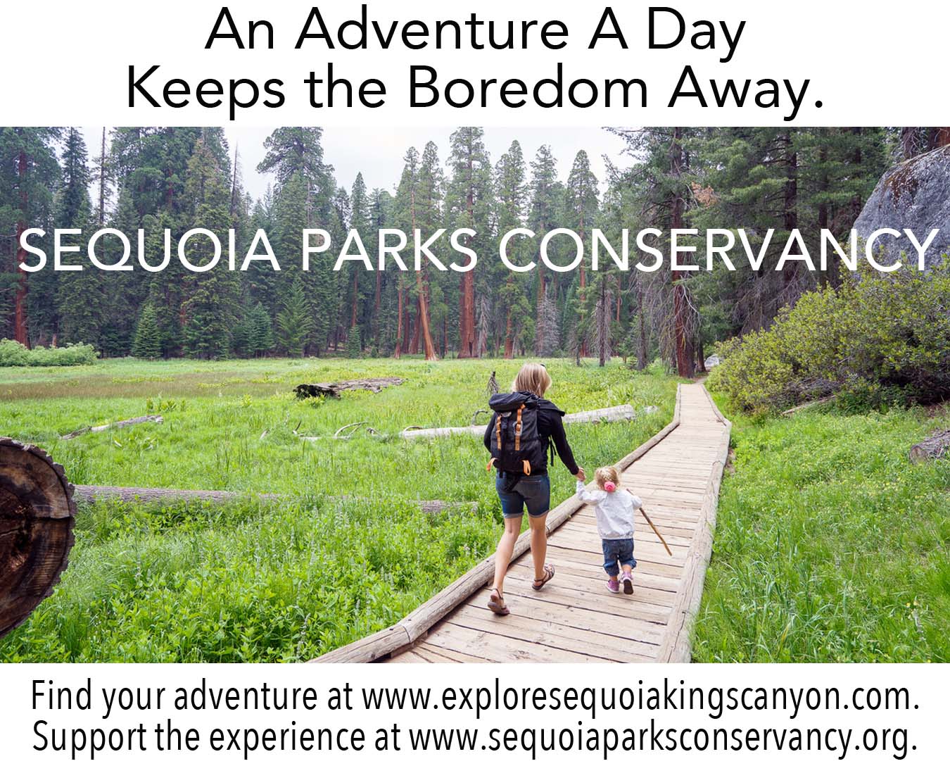 Sequoia National Park svg #3, Download drawings