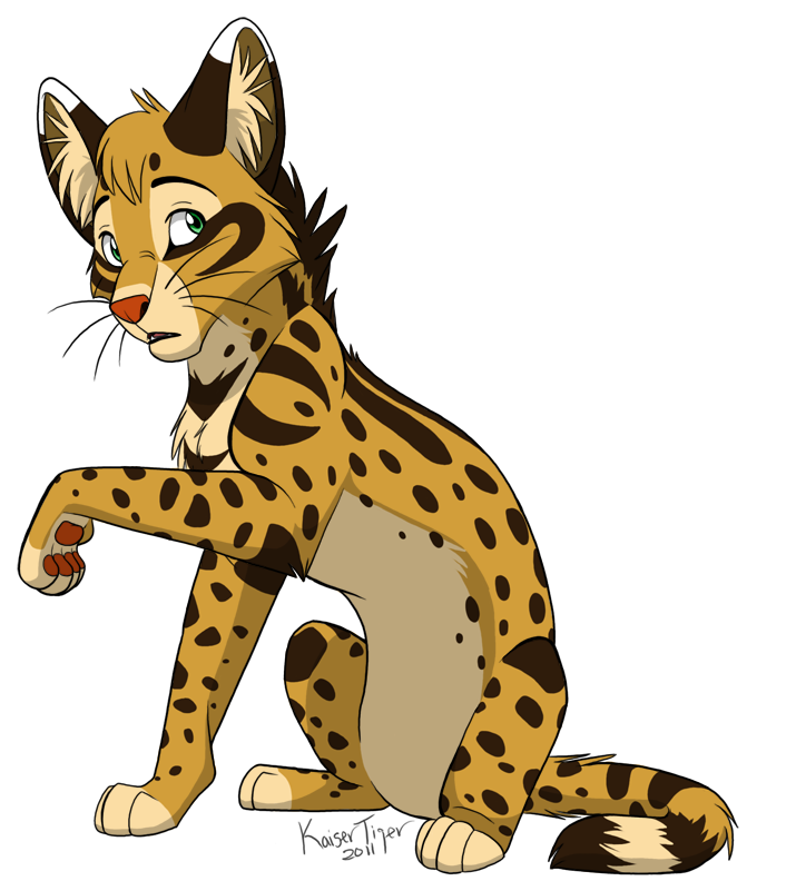 Serval clipart #13, Download drawings
