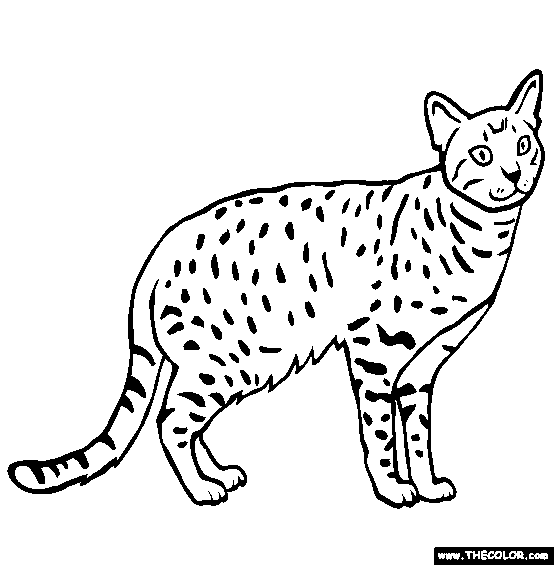 Serval coloring #18, Download drawings