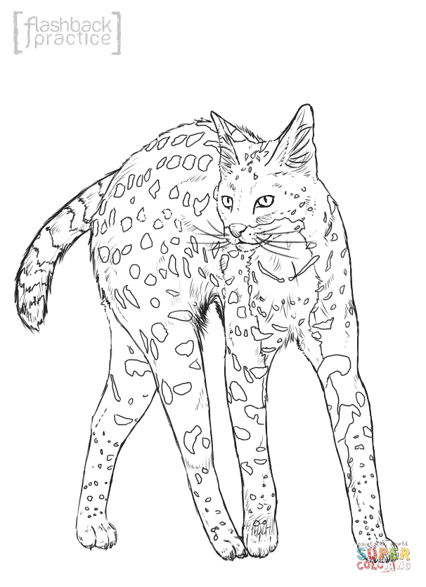 Serval coloring #13, Download drawings