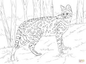 Serval coloring #8, Download drawings