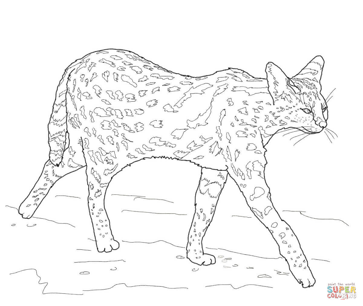 Serval coloring #10, Download drawings
