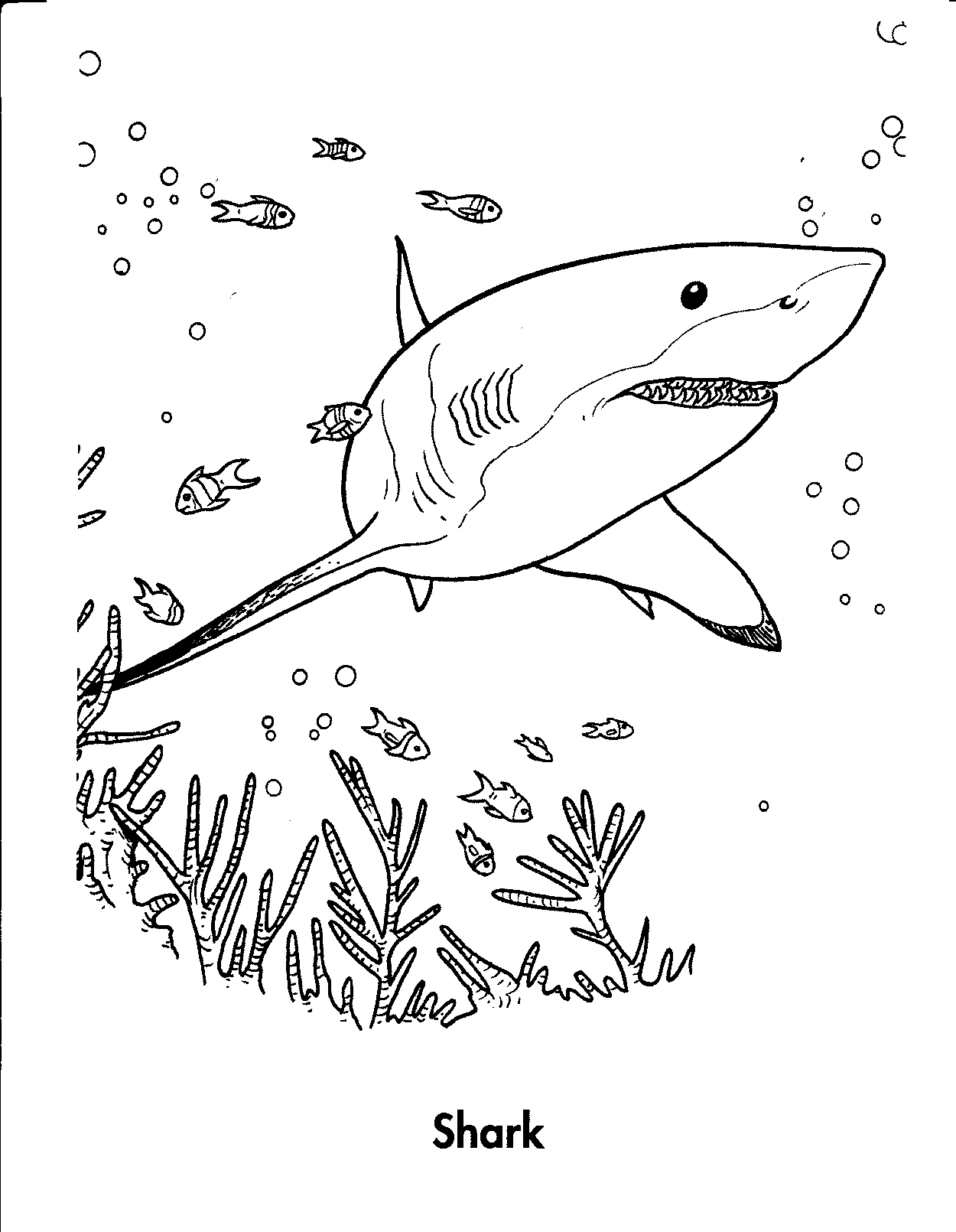Shark coloring #6, Download drawings