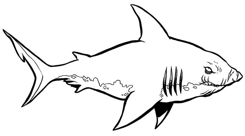 Shark coloring #8, Download drawings