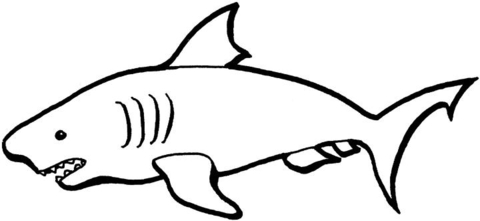 Shark coloring #12, Download drawings