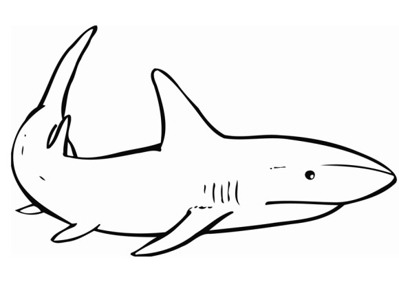 Shark coloring #9, Download drawings