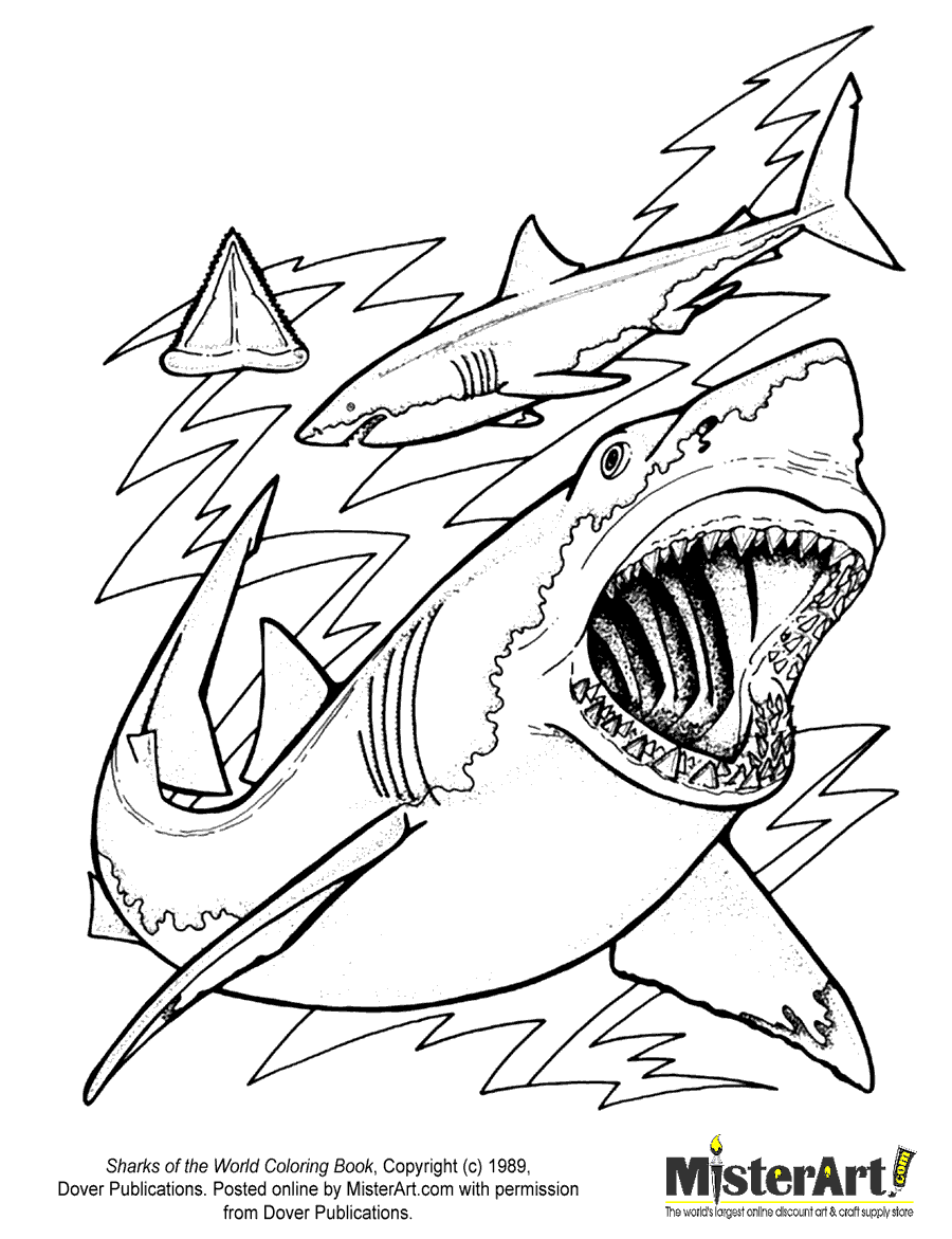 Shark coloring #16, Download drawings
